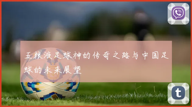 五粮液足球神的传奇之路与中国足球的未来展望