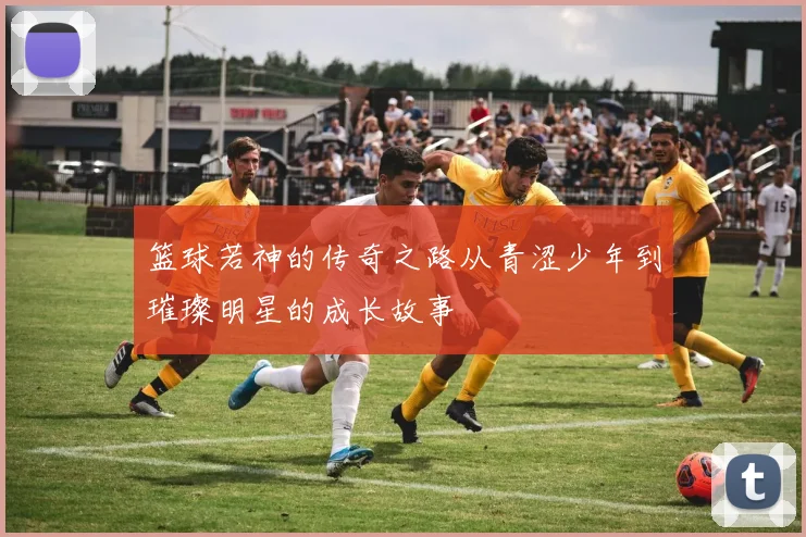 篮球若神的传奇之路从青涩少年到璀璨明星的成长故事