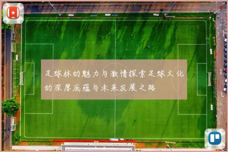 足球林的魅力与激情探索足球文化的深厚底蕴与未来发展之路