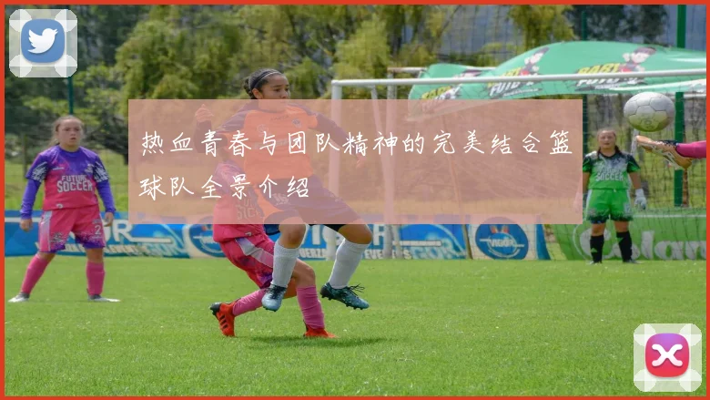 热血青春与团队精神的完美结合篮球队全景介绍