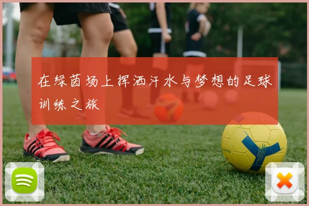 在绿茵场上挥洒汗水与梦想的足球训练之旅