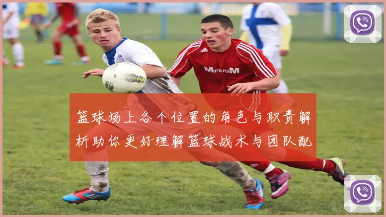 篮球场上各个位置的角色与职责解析助你更好理解篮球战术与团队配合