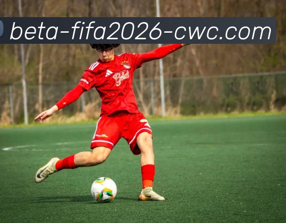 世界杯服务体系